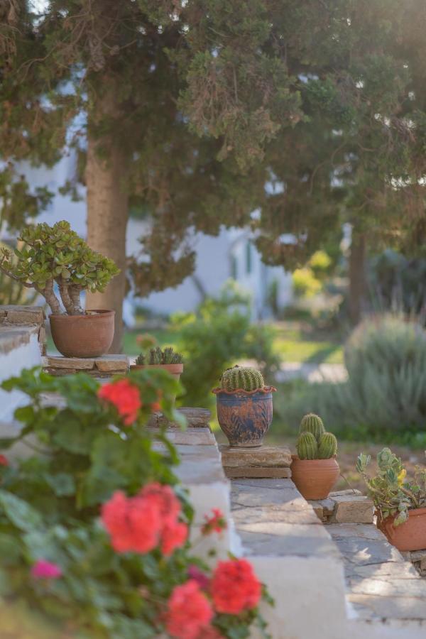 Antonina Hotel Agia Anna  Luaran gambar