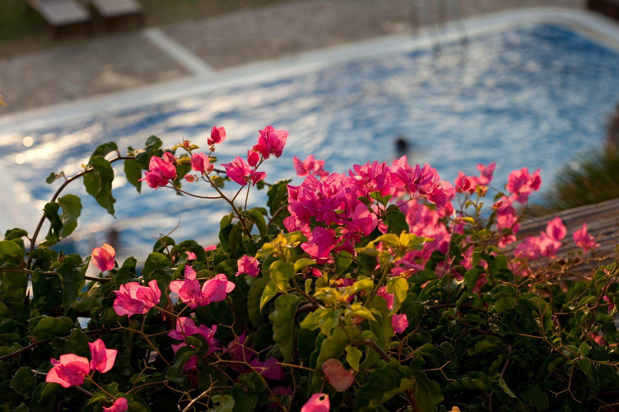 Antonina Hotel Agia Anna  Luaran gambar